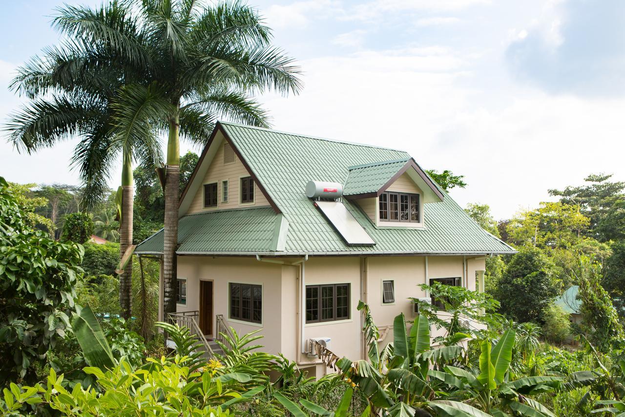 Belle Montagne Holiday Apartments Grand Anse  ภายนอก รูปภาพ
